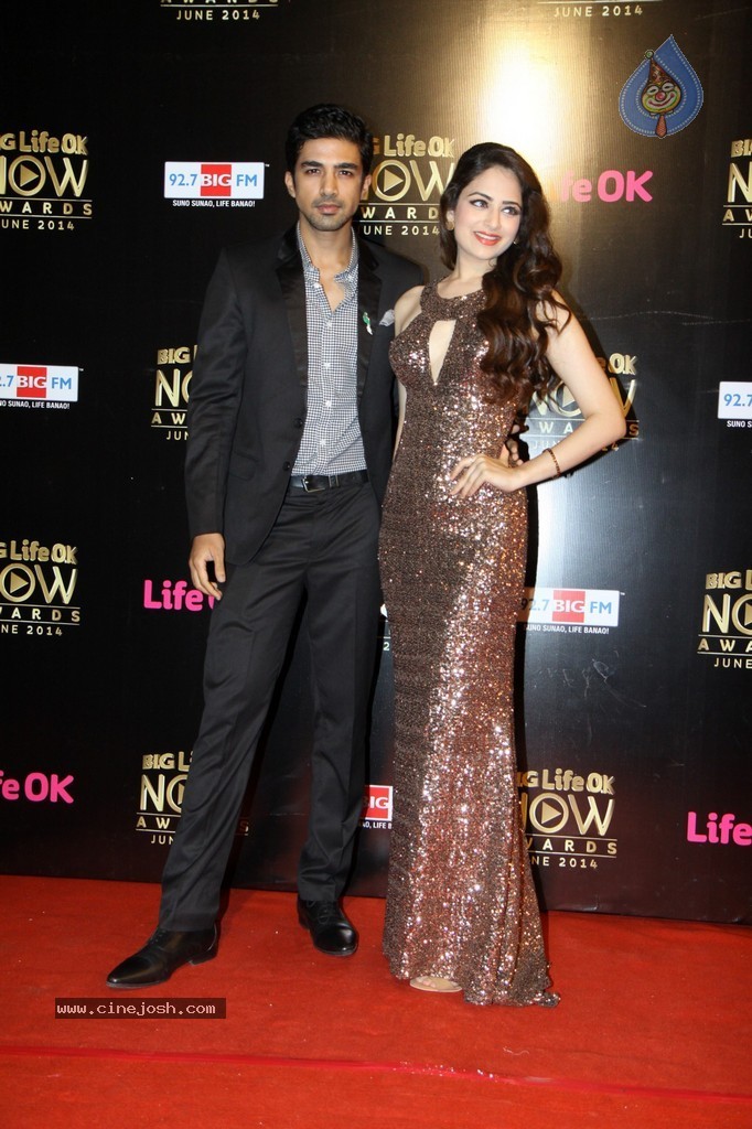 Hot Celebs at Big Life OK Awards 2014 - 36 / 125 photos