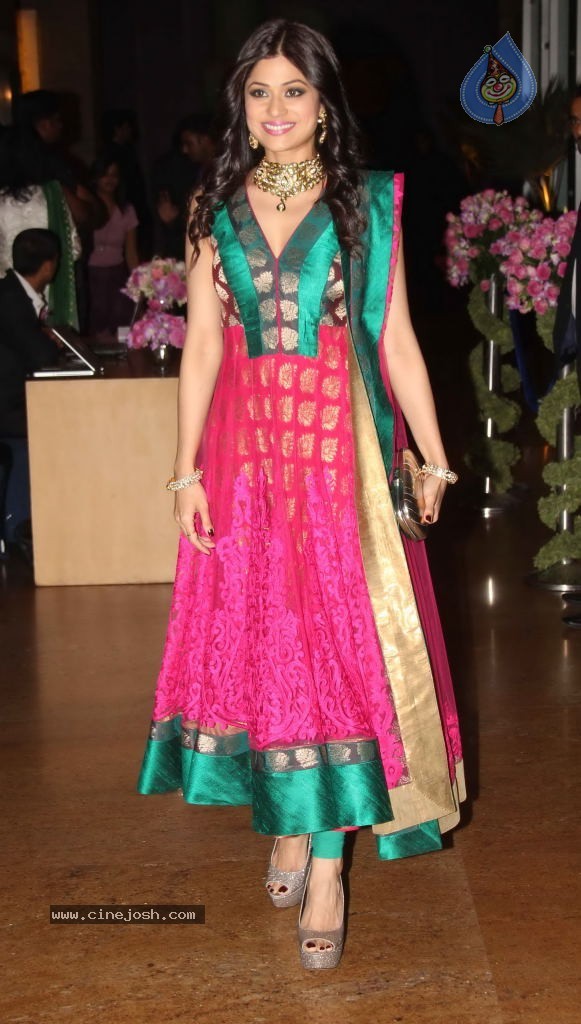 Hot Celebs at Deepshikha n Kaishav Sangeet Ceremony Photo 23 of 142