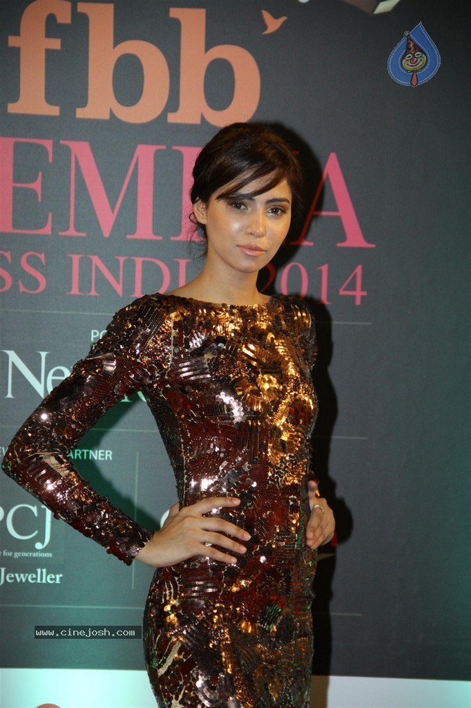 Hot Celebs at Femina Miss India 2014 - 19 / 112 photos