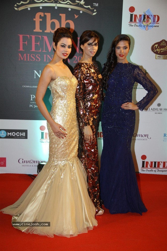 Hot Celebs at Femina Miss India 2014 - 43 / 112 photos