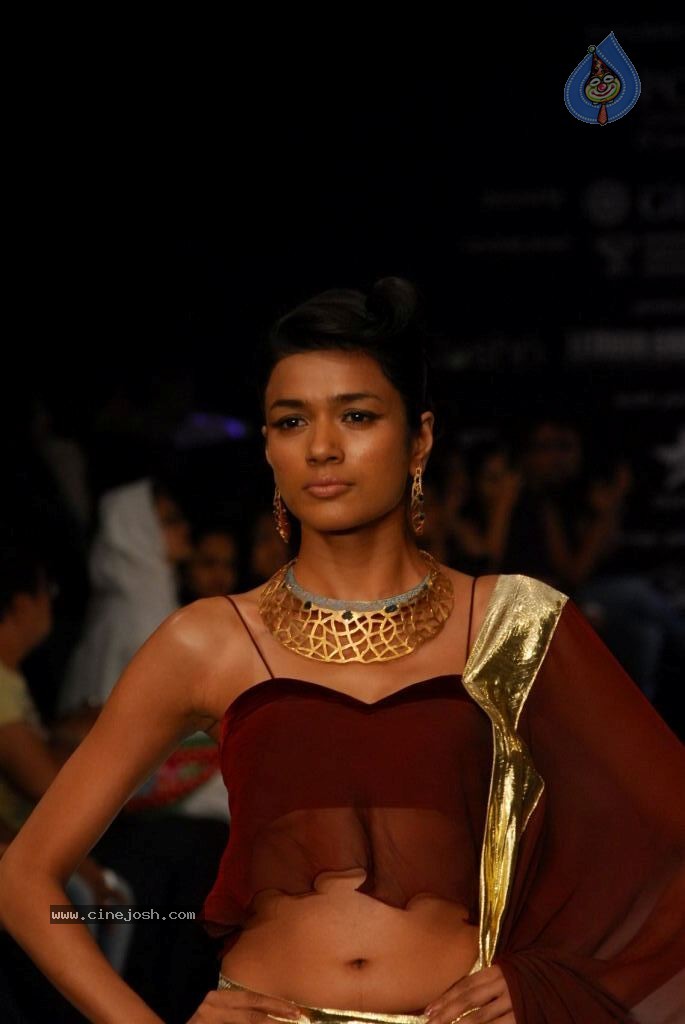 Hot Celebs at IIJW 2012 Show - 25 / 238 photos