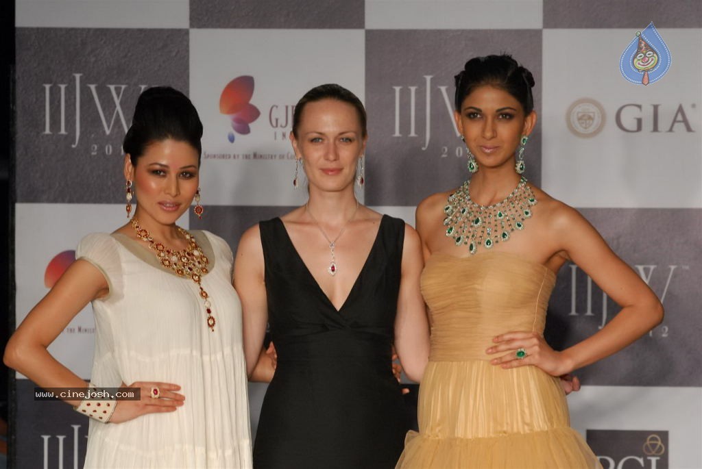 Hot Celebs at IIJW 2012 Show - 55 / 238 photos