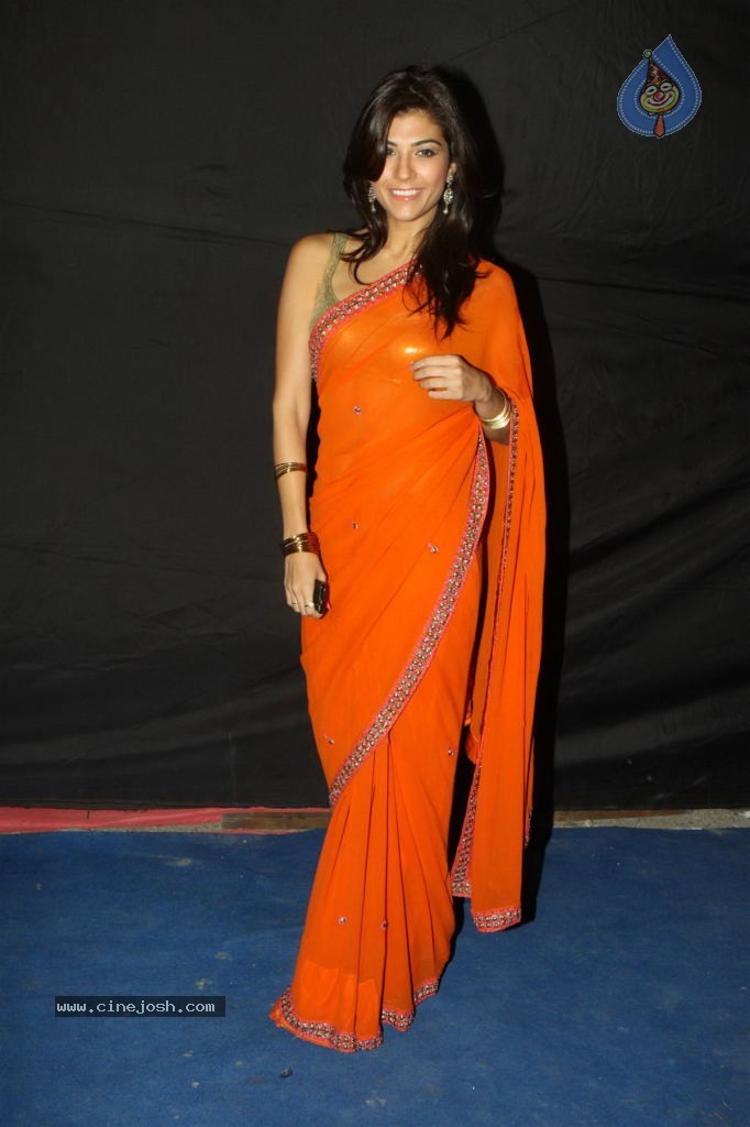 Hot TV Celebs at Indian Telly Awards 2012 - 23 / 106 photos