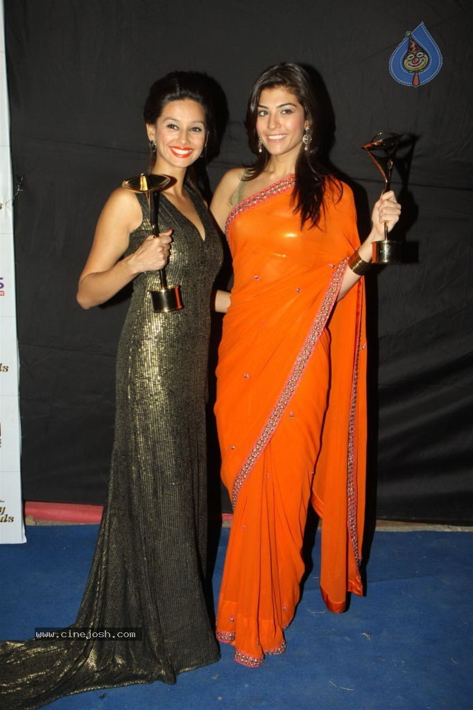 Hot TV Celebs at Indian Telly Awards 2012 - 29 / 106 photos