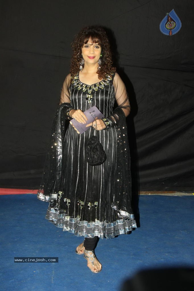 Hot TV Celebs at Indian Telly Awards 2012 - 30 / 106 photos