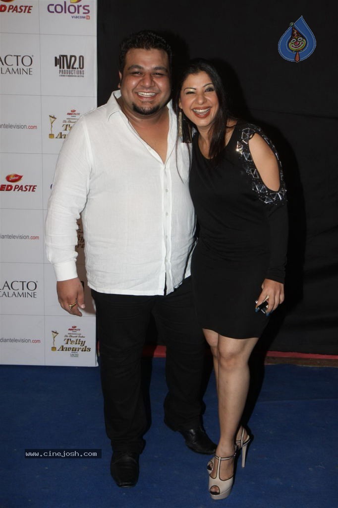 Hot TV Celebs at Indian Telly Awards 2012 - 37 / 106 photos