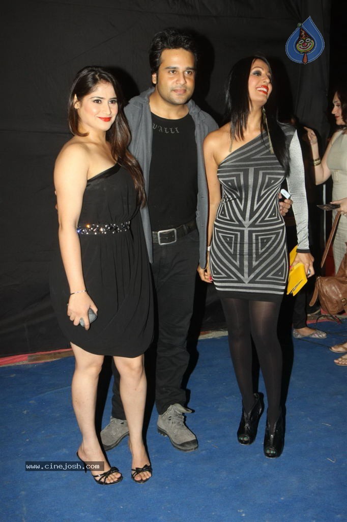 Hot TV Celebs at Indian Telly Awards 2012 - 43 / 106 photos