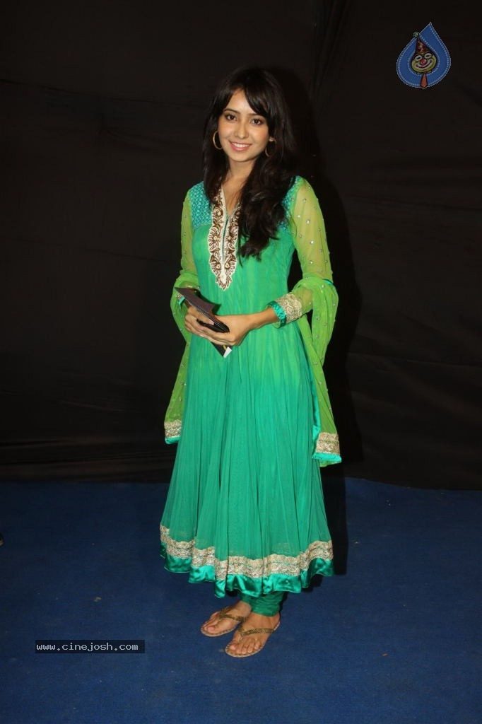 Hot TV Celebs at Indian Telly Awards 2012 - 64 / 106 photos