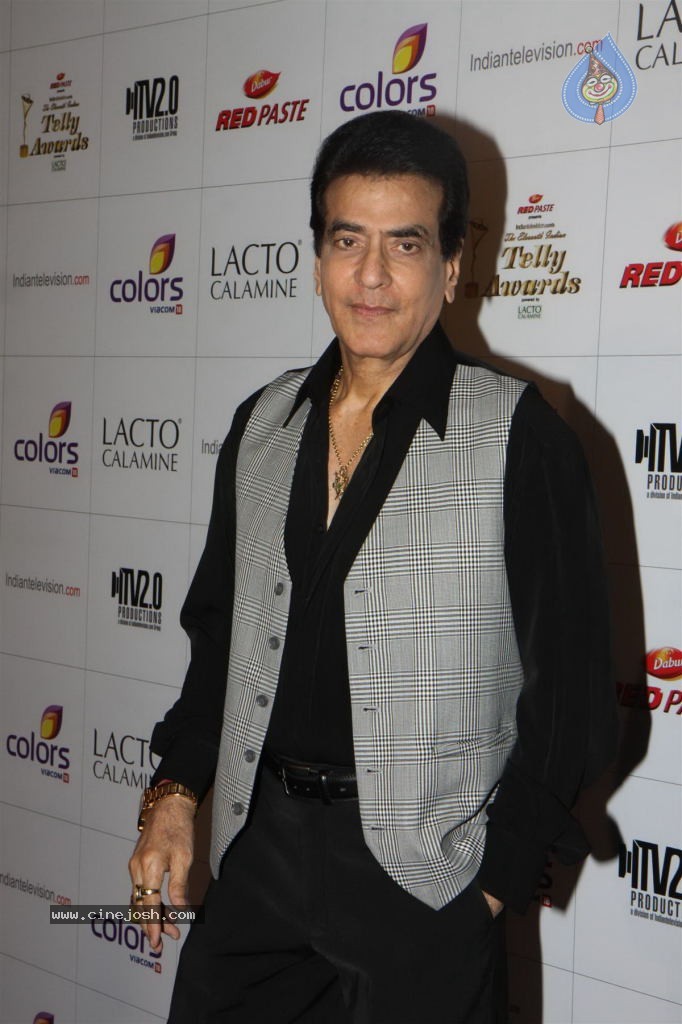 Hot TV Celebs at Indian Telly Awards 2012 - 77 / 106 photos