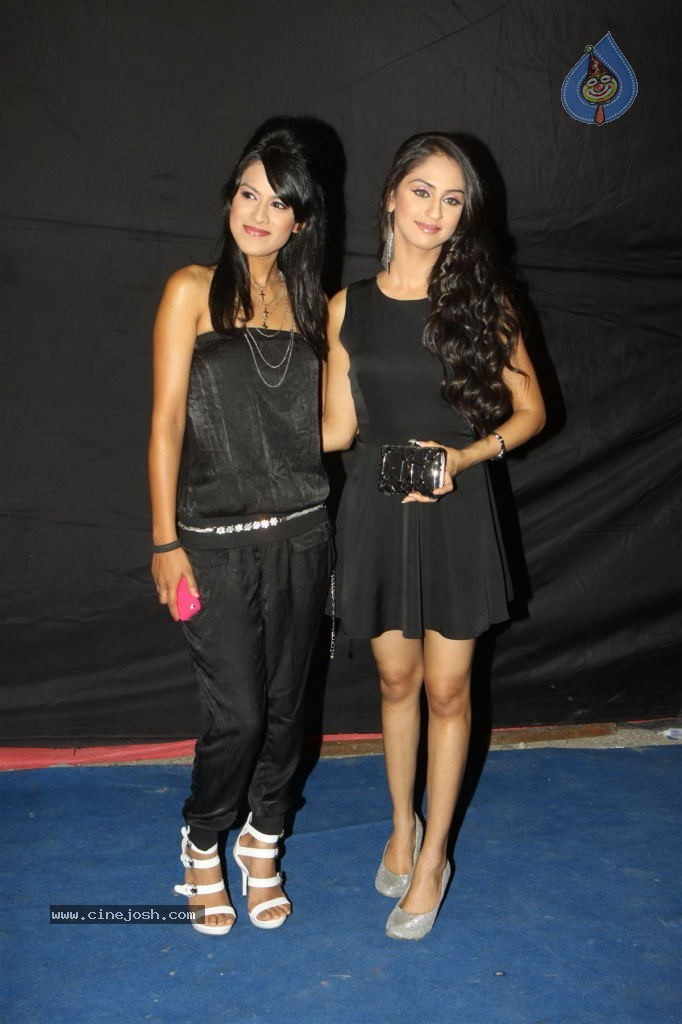 Hot TV Celebs at Indian Telly Awards 2012 - 83 / 106 photos