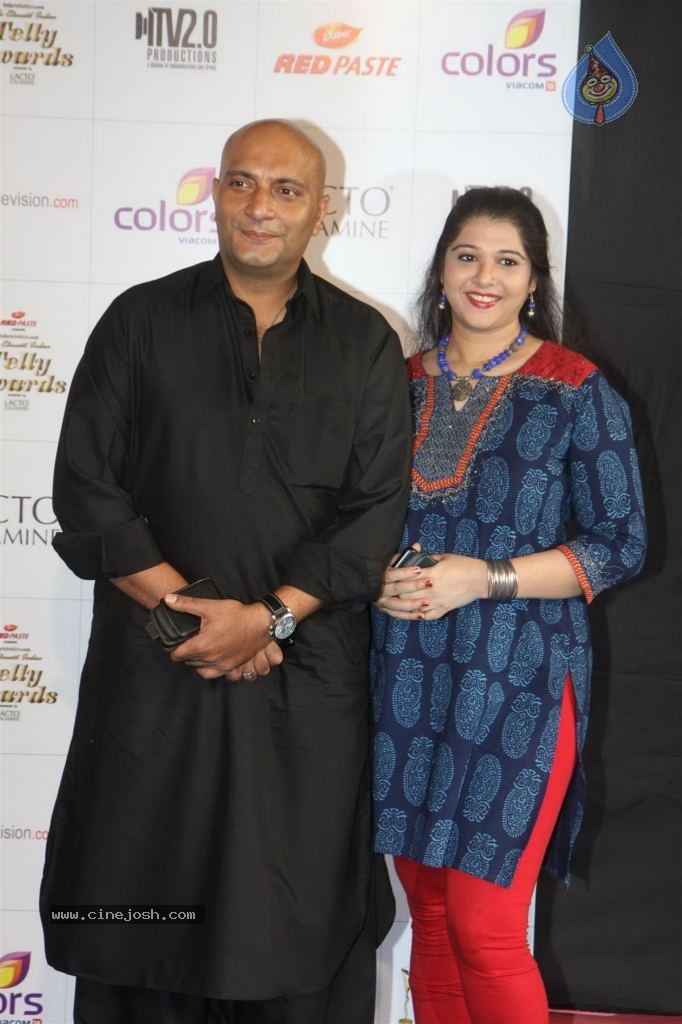 Hot TV Celebs at Indian Telly Awards 2012 - 84 / 106 photos