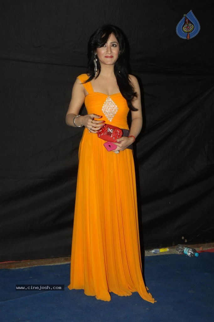 Hot TV Celebs at Indian Telly Awards 2012 - 90 / 106 photos