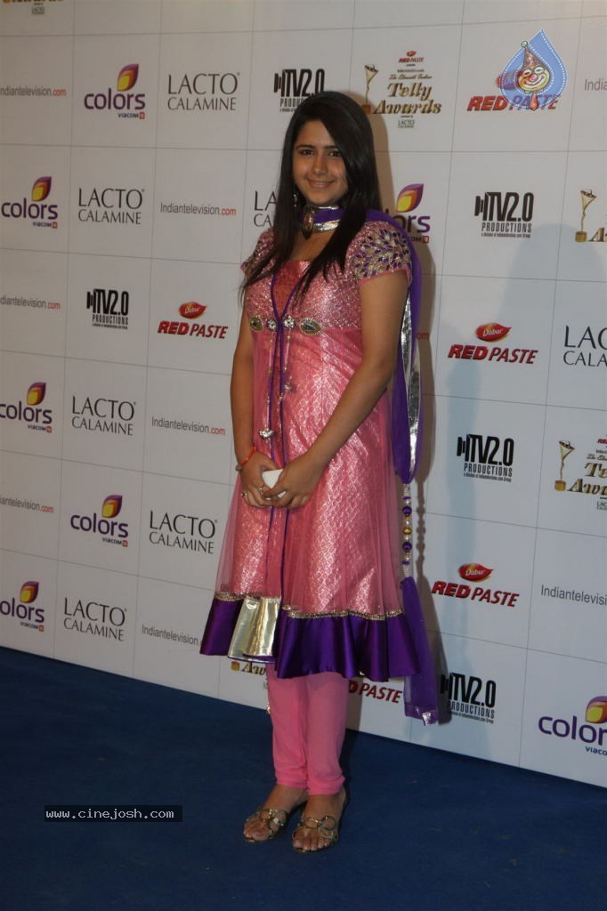 Hot TV Celebs at Indian Telly Awards 2012 - 92 / 106 photos