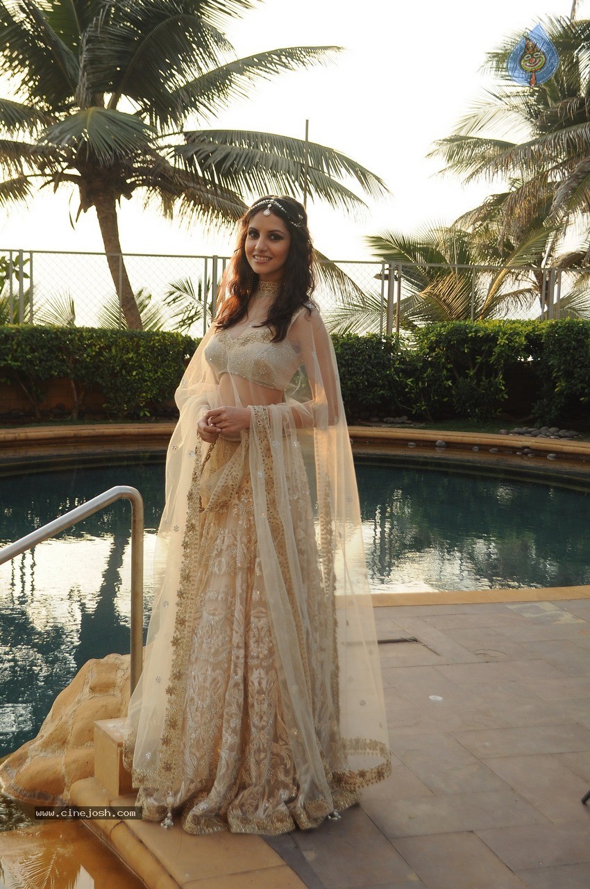 IBFW 2015 Goa Press Meet - 11 / 21 photos
