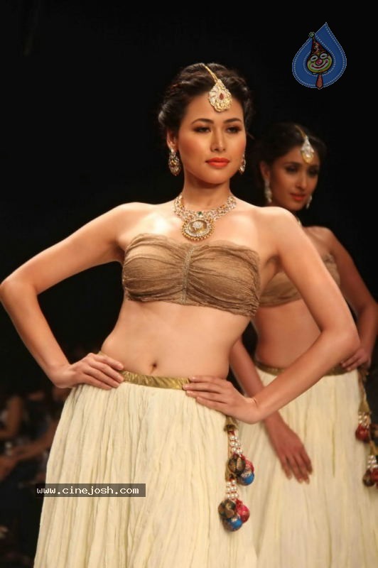 IIJW 2011 Ramp Walk Show Day 3 - 2 / 81 photos