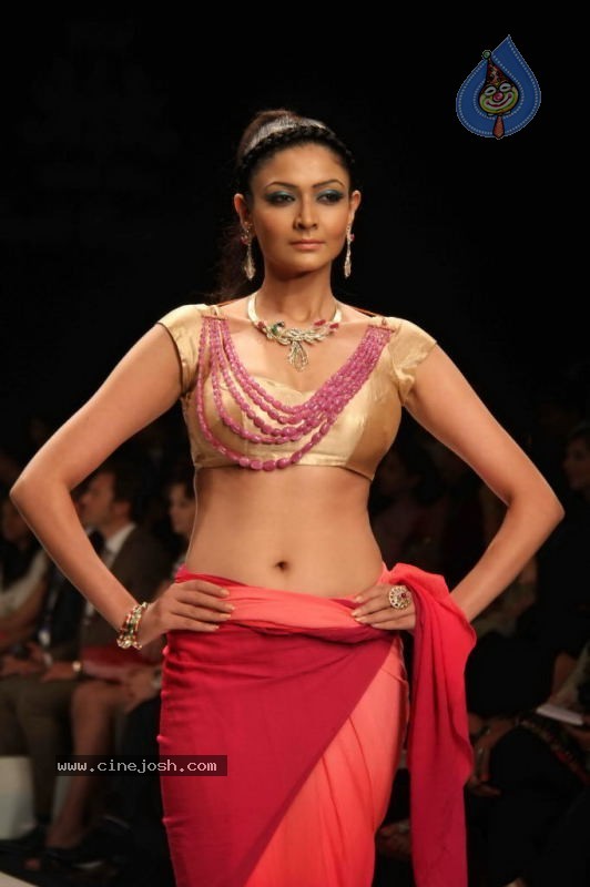 IIJW 2011 Ramp Walk Show Day 3 - 4 / 81 photos