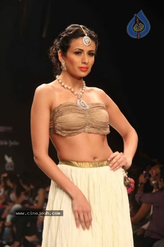 IIJW 2011 Ramp Walk Show Day 3 - 16 / 81 photos