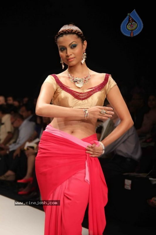 IIJW 2011 Ramp Walk Show Day 3 - 17 / 81 photos