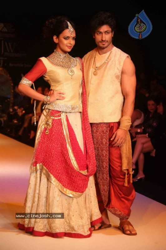 IIJW 2011 Ramp Walk Show Day 3 - 18 / 81 photos
