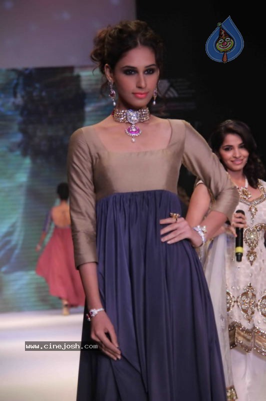 IIJW 2011 Ramp Walk Show Day 3 - 37 / 81 photos