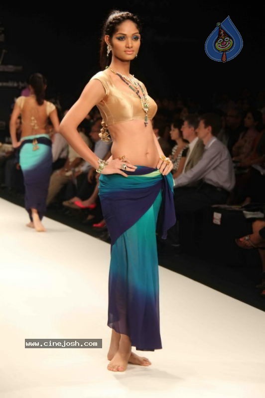 IIJW 2011 Ramp Walk Show Day 3 - 39 / 81 photos