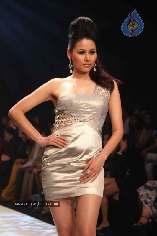IIJW 2011 Ramp Walk Show Day 3 - 44 / 81 photos