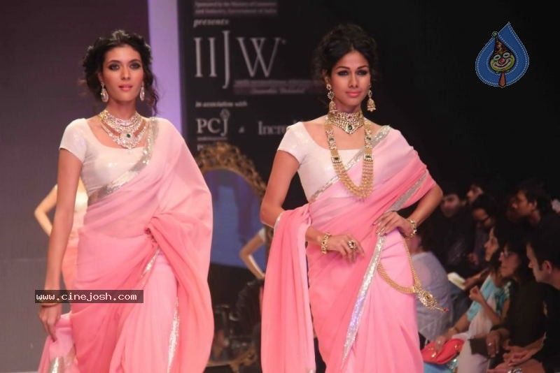 IIJW 2011 Ramp Walk Show Day 3 - 46 / 81 photos