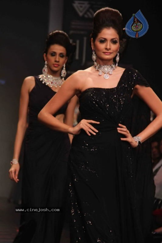 IIJW 2011 Ramp Walk Show Day 3 - 51 / 81 photos
