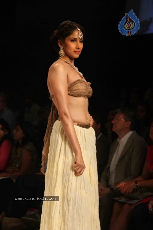 IIJW 2011 Ramp Walk Show Day 3 - 54 / 81 photos