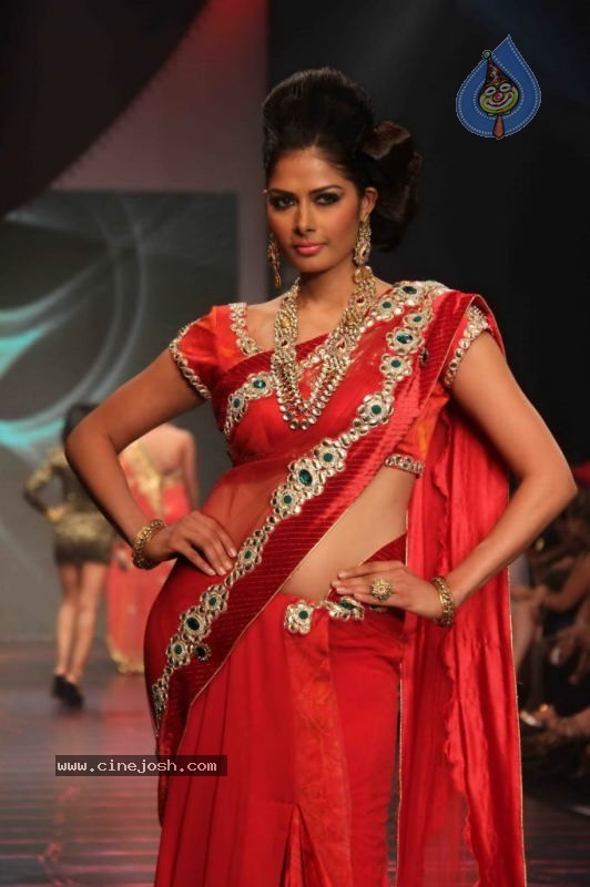 IIJW 2011 Ramp Walk Show Day 3 - 59 / 81 photos