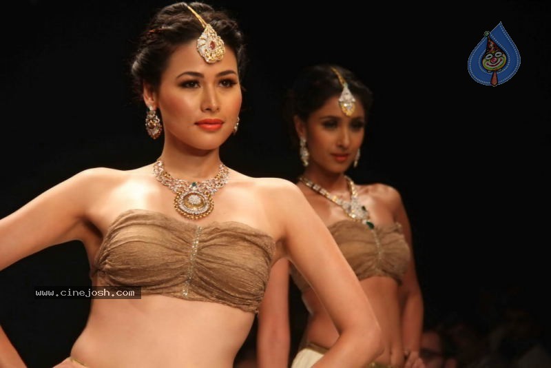 IIJW 2011 Ramp Walk Show Day 3 - 65 / 81 photos