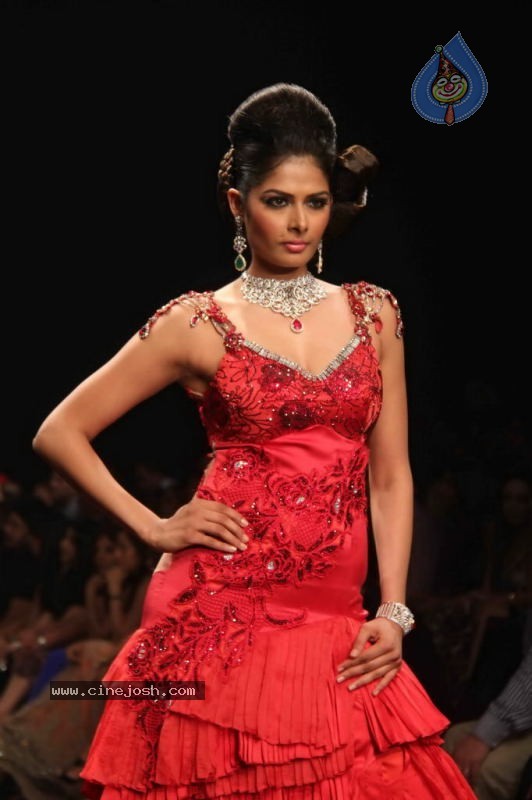 IIJW 2011 Ramp Walk Show Day 3 - 73 / 81 photos