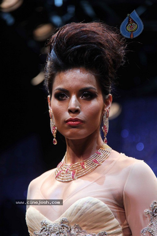 IIJW 2011 Ramp Walk Show Finale - 5 / 49 photos