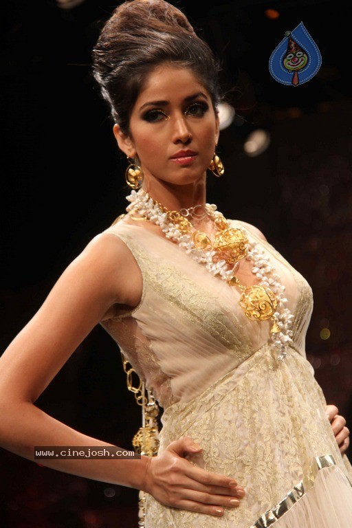 IIJW 2011 Ramp Walk Show Finale - 7 / 49 photos