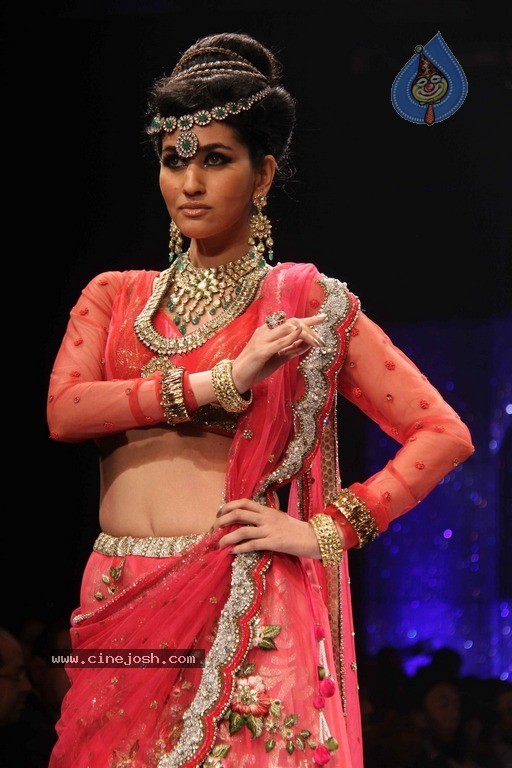 IIJW 2011 Ramp Walk Show Finale - 11 / 49 photos