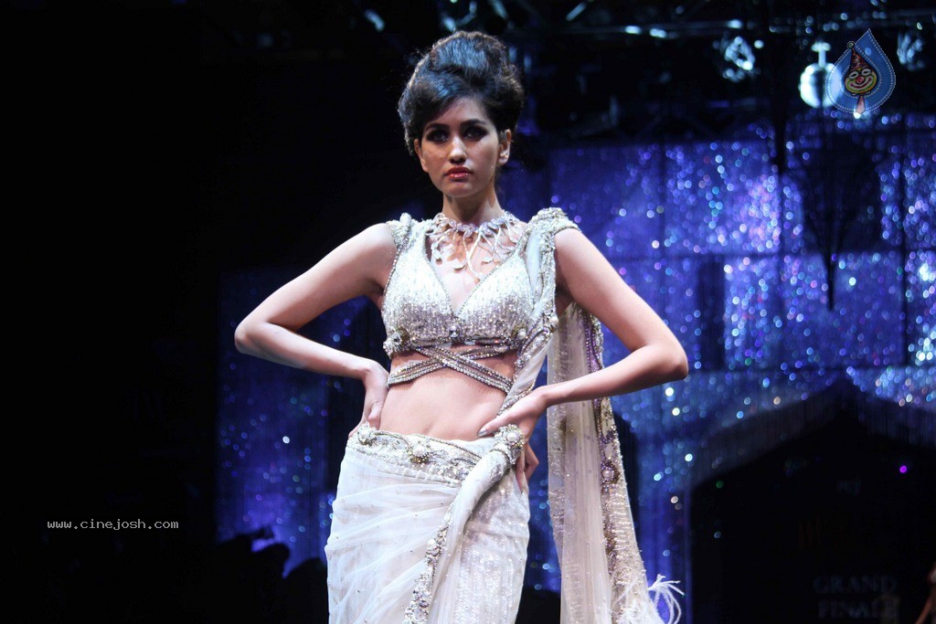 IIJW 2011 Ramp Walk Show Finale - 12 / 49 photos