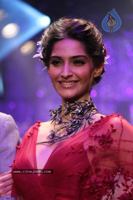 IIJW 2011 Ramp Walk Show Finale - 18 / 49 photos