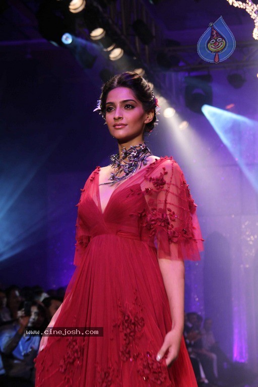 IIJW 2011 Ramp Walk Show Finale - 41 / 49 photos