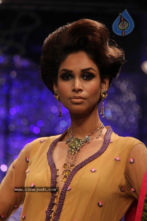 IIJW 2011 Ramp Walk Show Finale - 49 / 49 photos