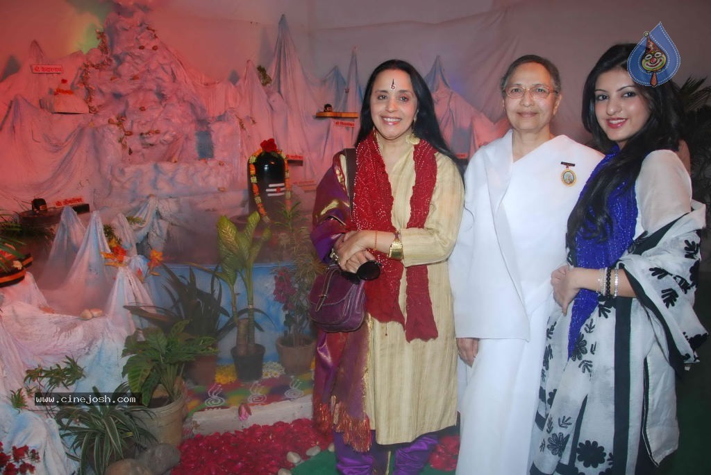 Ila Inaugurates Auspicious Display of Jyotirlinga - 25 / 29 photos
