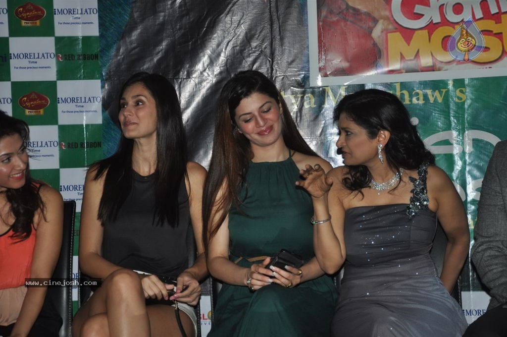 Indian Chill Harmonics Music Album Launch - 13 / 54 photos