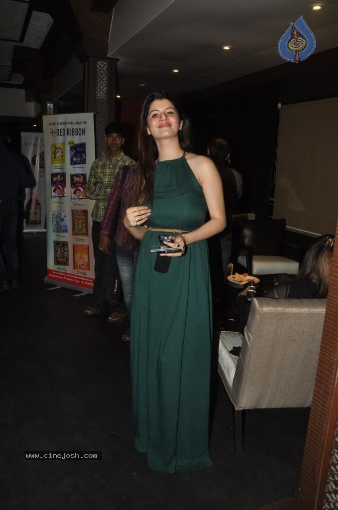 Indian Chill Harmonics Music Album Launch - 34 / 54 photos