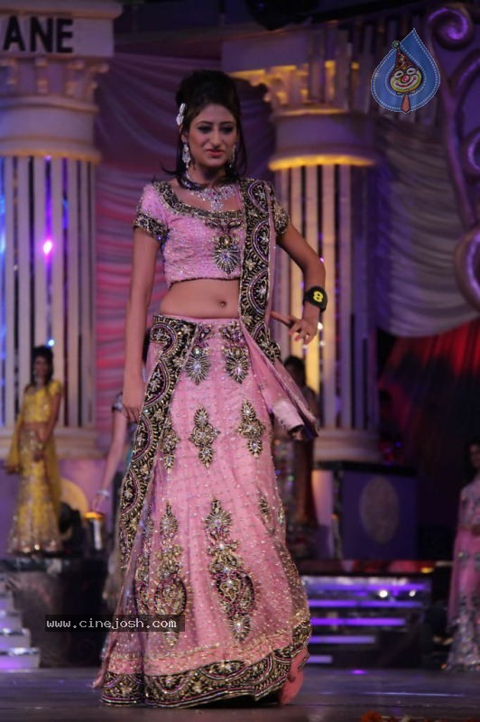Indian Princess 2011 Grand Finale Event - 42 / 80 photos