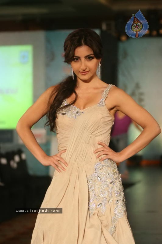 Indian Princess Fashion Show Photos - 48 / 77 photos