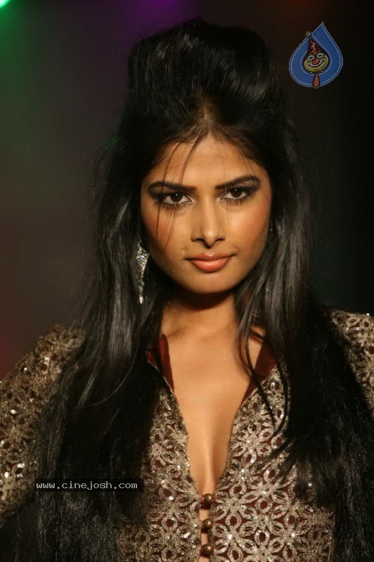 Indian Princess Fashion Show Photos - 54 / 77 photos