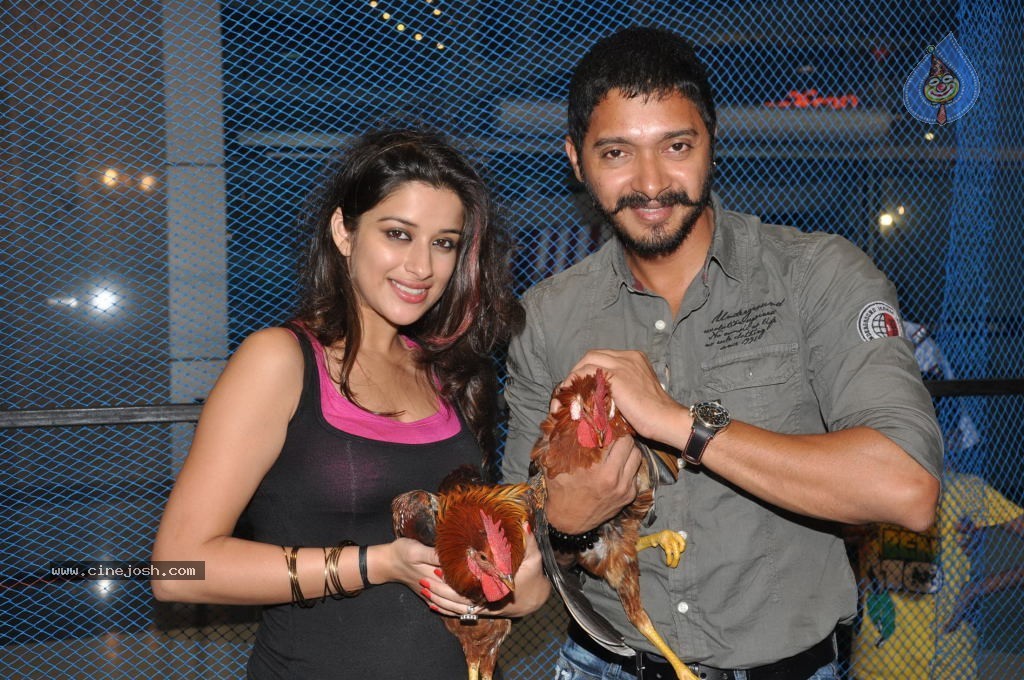 Kamaal Dhamaal Malamaal Movie Promotion - 7 / 32 photos