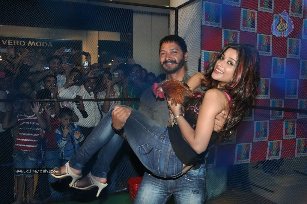 Kamaal Dhamaal Malamaal Movie Promotion - 23 / 32 photos