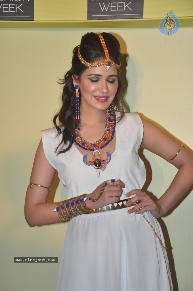 Lakme Fashion Week 2014 Press Meet - 27 / 89 photos