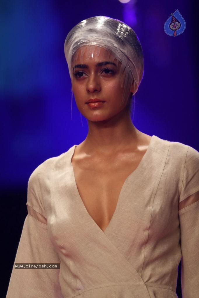 Lakme Fashion Week Day 4 All Shows - 11 / 71 photos