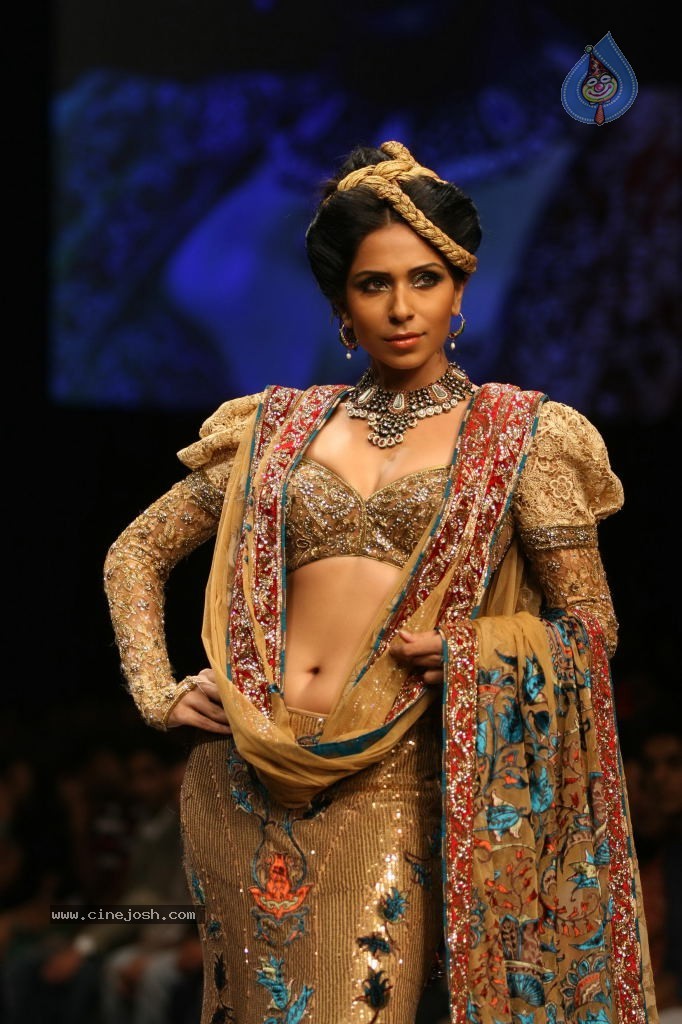 Lakme Fashion Week Day 4 All Shows - 14 / 71 photos